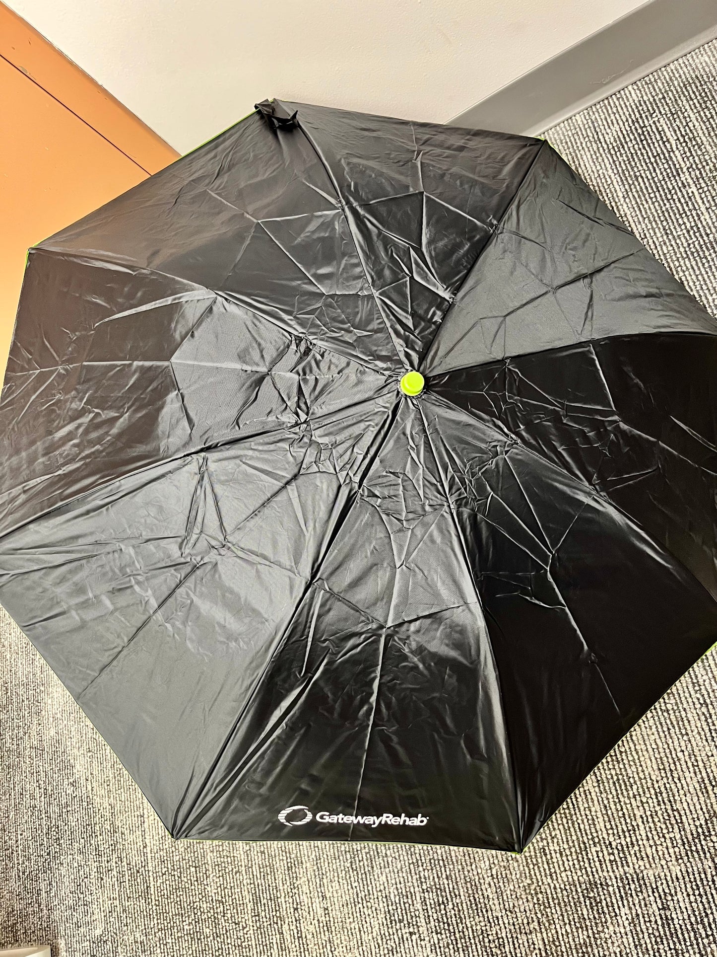 Umbrella